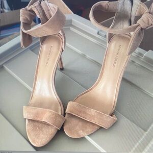 Women's Elegant Velvet Ankle Strap Heels